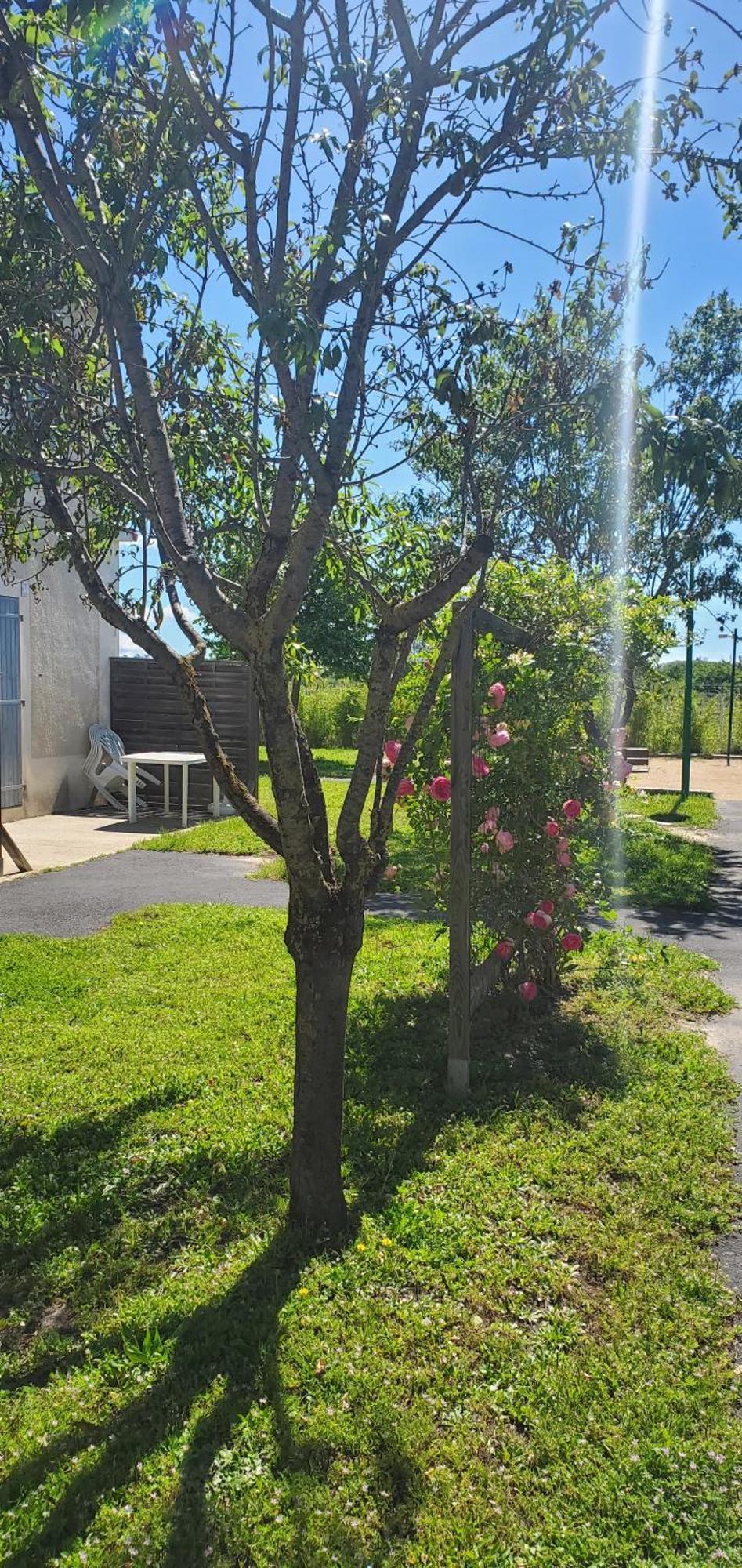 Le Canal Climatisation Wi-Fi Parking Jardin Piscine 15 Mn De Beziers 科隆比耶尔 外观 照片